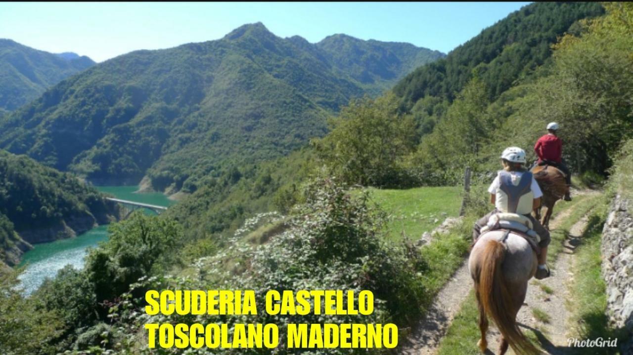 Dream Apartment Toscolano Maderno Bagian luar foto